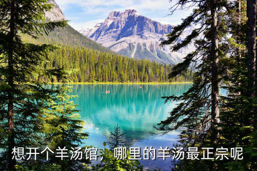 周口哪里羊湯館最好,想開個(gè)羊湯館