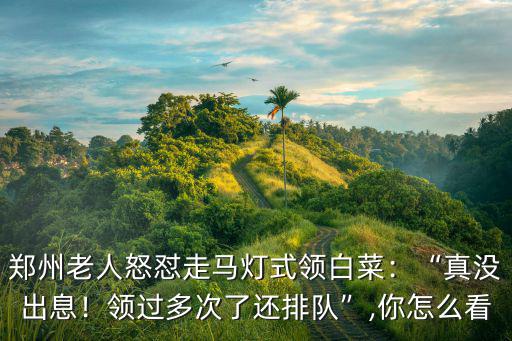 鄭州白菜賣多少,鄭州老人怒懟走馬燈式領白菜