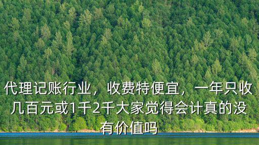 代理記賬行業，收費特便宜，一年只收幾百元或1千2千大家覺得會計真的沒有價值嗎