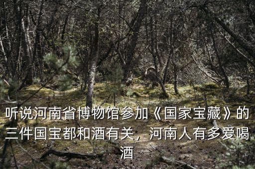 河南博物館有多少國寶,河南博物院有哪些鎮館之寶
