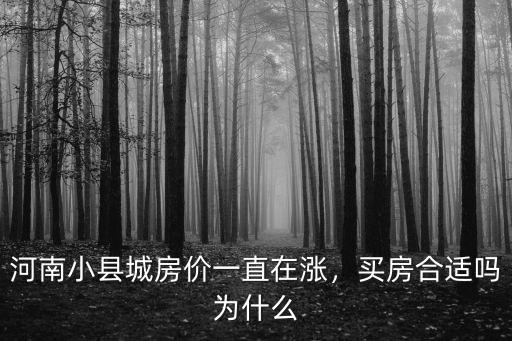 河南小縣城房價一直在漲，買房合適嗎為什么