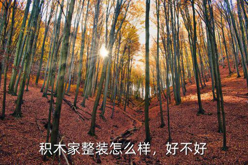 信陽市積木家怎么樣,積木家整裝怎么樣