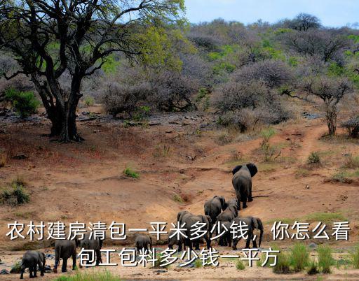 周口鹿邑農村蓋房多少錢一平米,農村建房清包一平米多少錢
