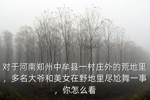 對于河南鄭州中牟縣一村莊外的荒地里，多名大爺和美女在野地里盡尬舞一事，你怎么看