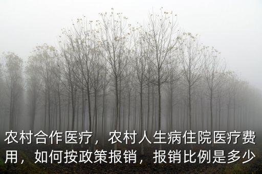 河南農(nóng)村合作醫(yī)療是怎么報(bào)銷的,農(nóng)村合作醫(yī)療