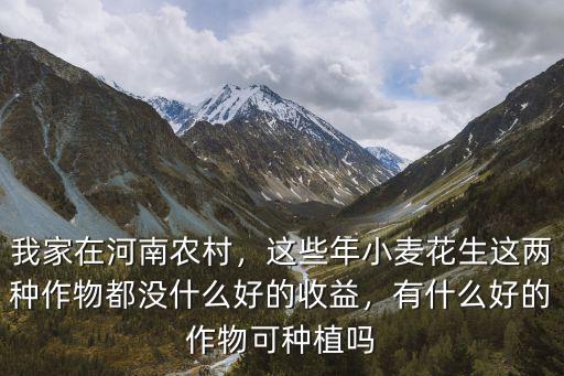 我家在河南農村，這些年小麥花生這兩種作物都沒什么好的收益，有什么好的作物可種植嗎
