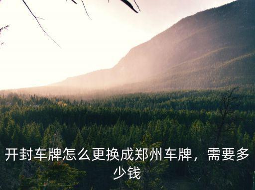 上個鄭州牌照多少錢,上鄭州牌照好上嗎