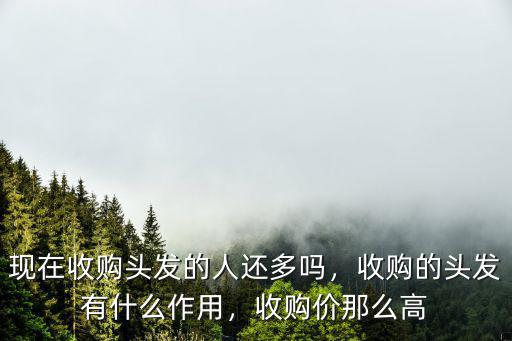 焦作市區哪里有收購長頭發,現在收購頭發的人還多嗎