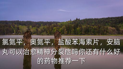 氯氮平，奧氮平，鹽酸苯海索片，安腦丸可以治愈精神分裂癥嗎你還有什么好的藥物推薦一下