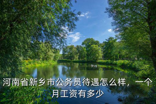 新鄉(xiāng)市教師平均工資在多少,`河南平均工資是多少