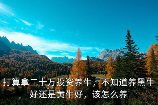 怎么養殖南陽黃牛,南陽黃牛很有特色