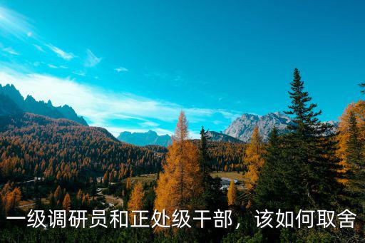 一級調研員和正處級干部，該如何取舍