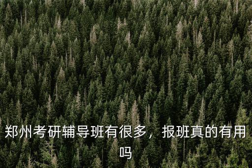 鄭州考研輔導(dǎo)班有很多，報(bào)班真的有用嗎