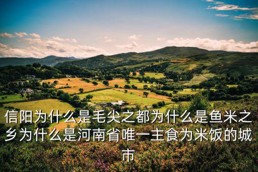 信陽為什么是毛尖之都為什么是魚米之鄉為什么是河南省唯一主食為米飯的城市