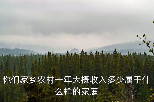 你們家鄉農村一年大概收入多少屬于什么樣的家庭