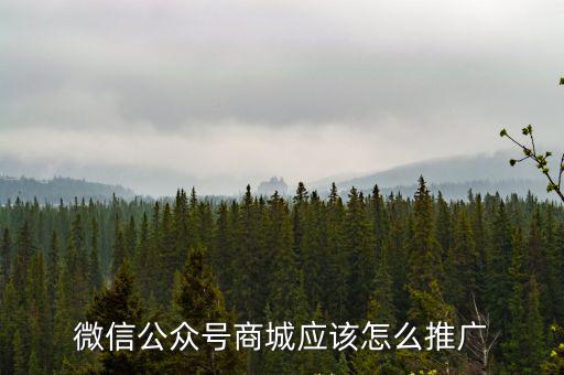 微信公眾號商城應該怎么推廣
