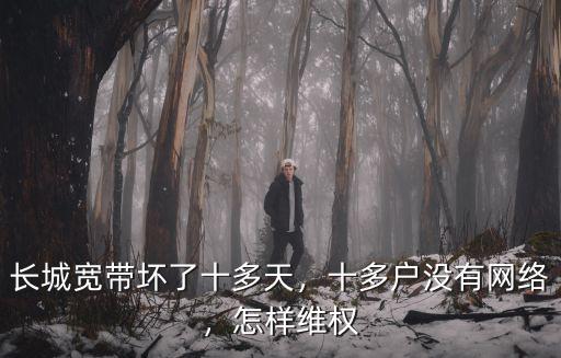 長城寬帶壞了十多天，十多戶沒有網絡，怎樣維權