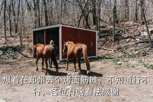 想著在鄭州弄個烤面筋攤，不知道行不行，各位有啥看法感謝
