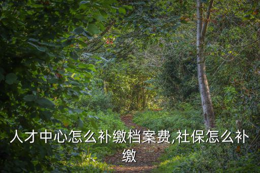 河南人才中心怎么補繳檔案費,社保怎么補繳