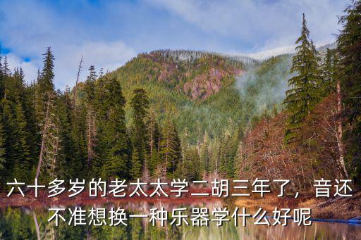 六十多歲的老太太學二胡三年了，音還不準想換一種樂器學什么好呢