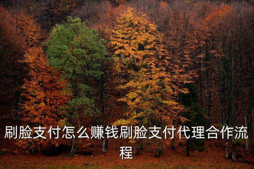 刷臉支付怎么賺錢刷臉支付代理合作流程