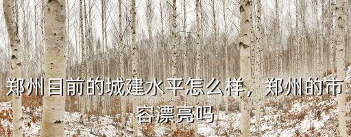 鄭州目前的城建水平怎么樣，鄭州的市容漂亮嗎