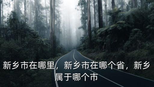 新鄉(xiāng)老廟在哪里,新鄉(xiāng)市在哪里