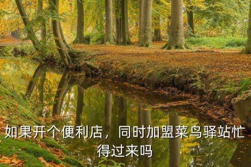 如果開個便利店，同時加盟菜鳥驛站忙得過來嗎
