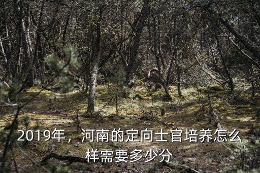 河南定向士官從哪里報,河南的定向士官培養(yǎng)怎么樣