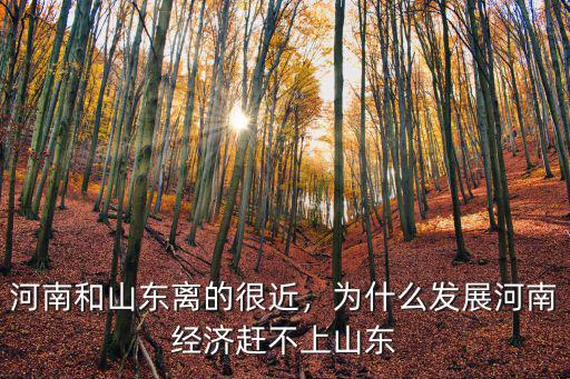 河南山東都是怎么樣,河南都是產糧大省