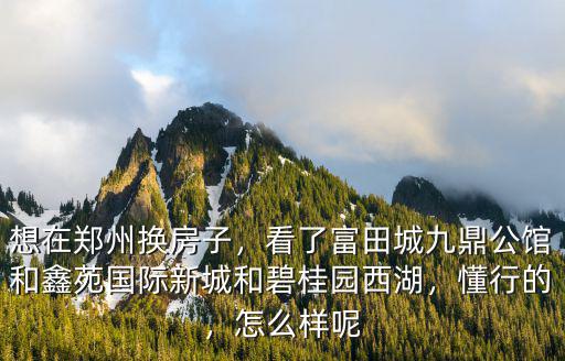 想在鄭州換房子，看了富田城九鼎公館和鑫苑國際新城和碧桂園西湖，懂行的，怎么樣呢