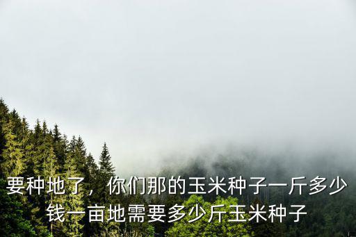 河南玉米種子多少錢一斤,甜玉米種子多少錢一斤