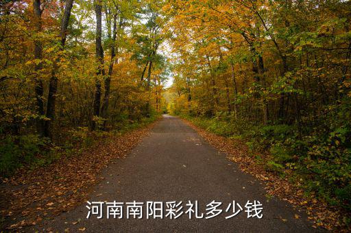河南現(xiàn)在彩禮一般多少,現(xiàn)在鄭州彩禮一般多少