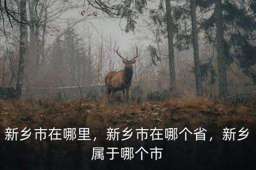新鄉霍嘉在哪里,新鄉市在哪里