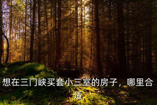 想在三門(mén)峽買(mǎi)套小三室的房子，哪里合適