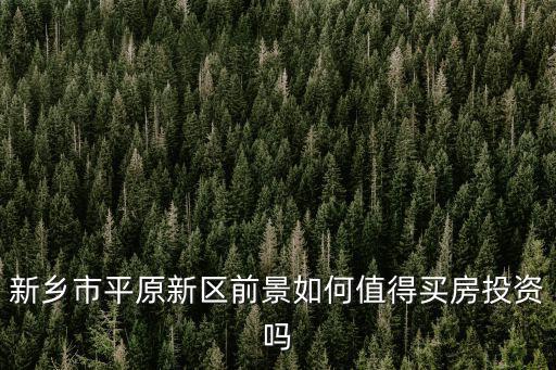 新鄉(xiāng)平原新區(qū)濱湖小學(xué)怎么樣,新鄉(xiāng)平原新區(qū)發(fā)展前景怎么樣