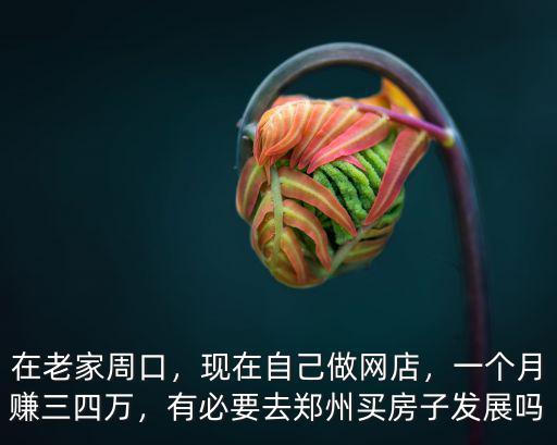 開鄭州網店怎么樣,現在開網店怎么樣