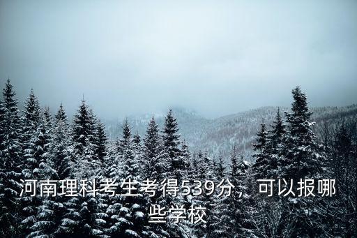 河南理科考生考得539分，可以報(bào)哪些學(xué)校