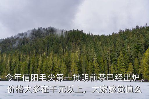 今年信陽毛尖第一批明前茶已經出爐，價格大多在千元以上，大家感覺值么