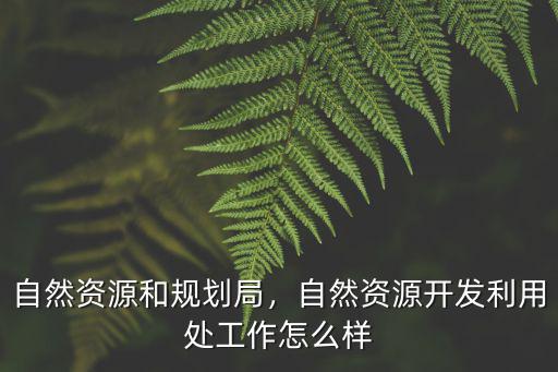 河南省縣自然資源局怎么樣,自然資源和規劃局