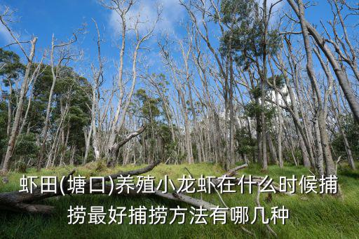 蝦田(塘口)養殖小龍蝦在什么時候捕撈最好捕撈方法有哪幾種