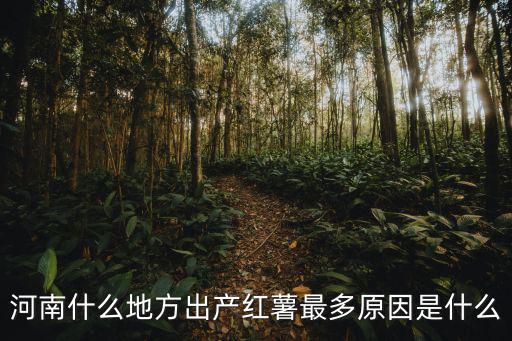 河南什么地方出產紅薯最多原因是什么