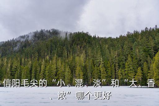 信陽毛尖的“小、混、淡”和“大、香、濃”哪個更好