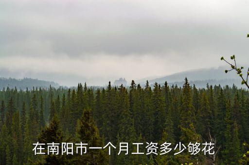 在南陽(yáng)市一個(gè)月工資多少夠花