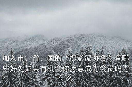 加入市、省、國的“攝影家協會”有哪些好處如果有機會你愿意成為會員嗎為什么