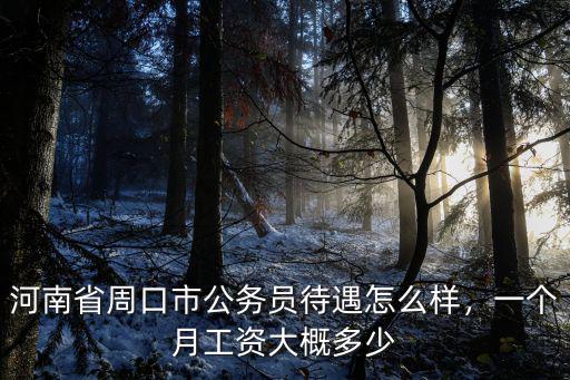 周口中醫院工資多少錢,一個月工資大概多少