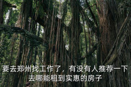 要去鄭州找工作了，有沒有人推薦一下去哪能租到實惠的房子