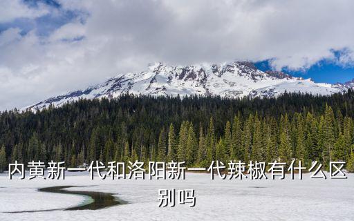 內黃新一代和洛陽新一代辣椒有什么區別嗎