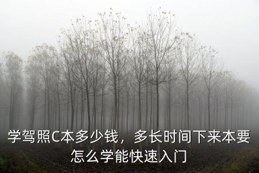 南陽學(xué)駕照多少錢,你所在的地方學(xué)駕照多少錢