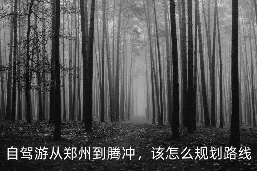 從鄭州到騰沖飛機票怎么買,該怎么規劃路線